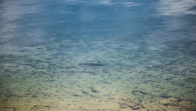 2020 Winter Lake trout-2