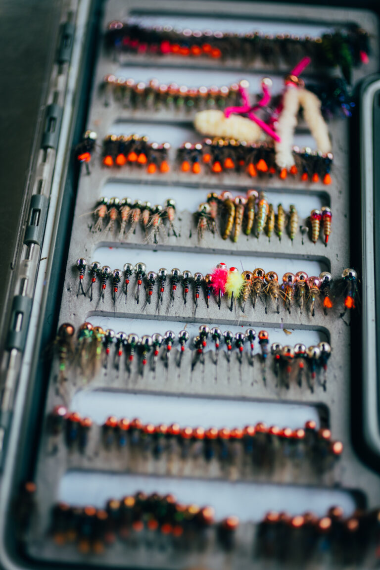 2025_Tumut_clinic_12