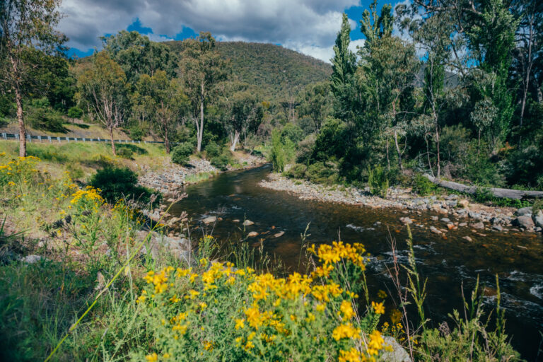 2025_Tumut_clinic_15