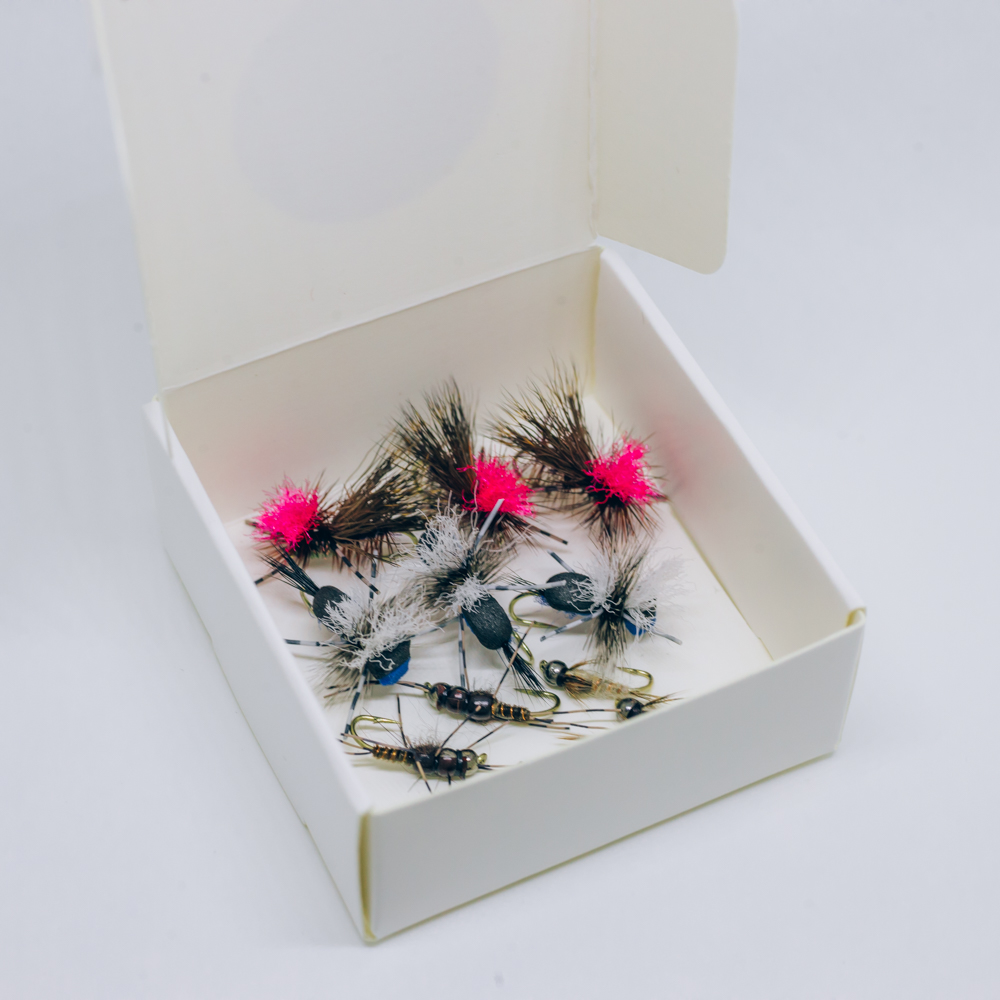 NZ_no2_pk_1 NZ_no2_pk_1