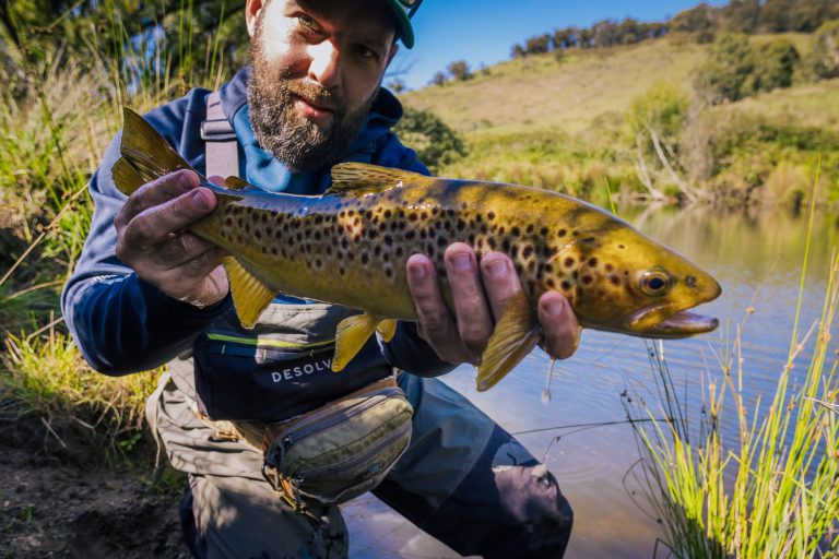 Blue hood-trout_1