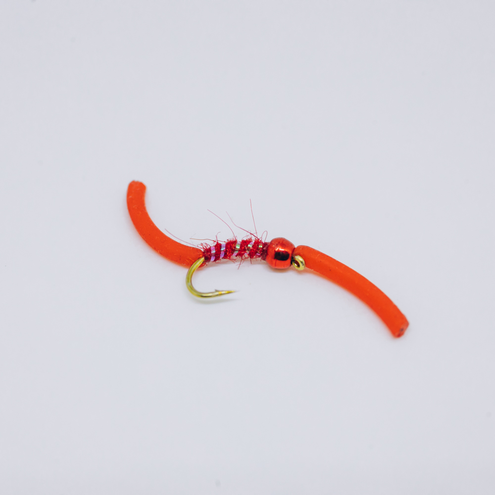 red_squirmy_1 red_squirmy_1