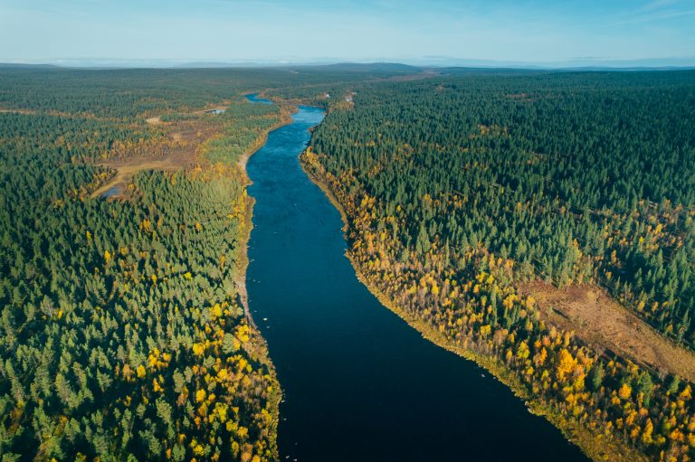 2026_SWE_FF_FB_28