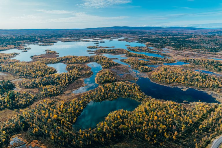 2026_SWE_FF_FB_29