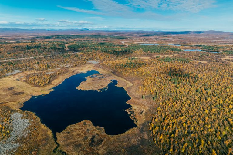 2026_SWE_FF_FB_30